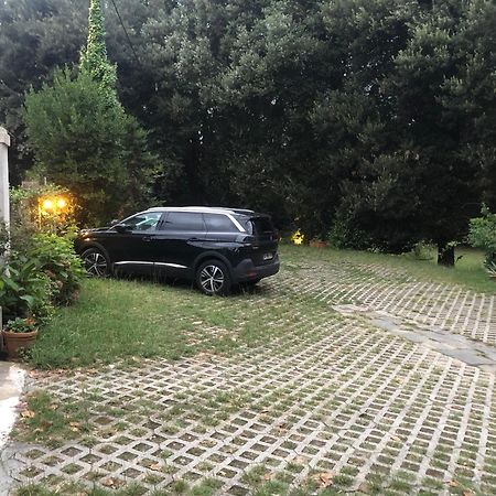 Villa La Dogana B&B Di Charme - Historic Villa With A Beautiful Garden Лукка Экстерьер фото