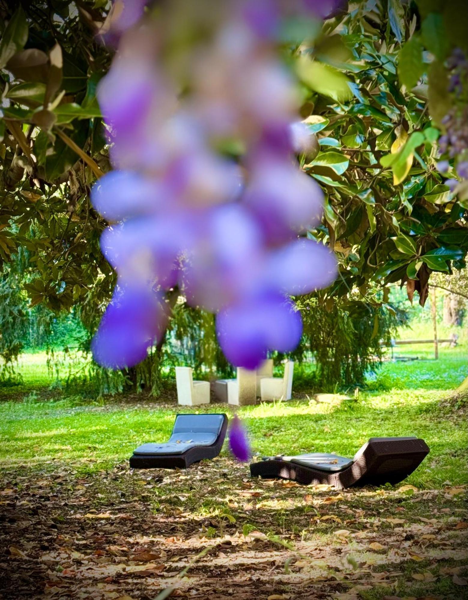 Villa La Dogana B&B Di Charme - Historic Villa With A Beautiful Garden Лукка Экстерьер фото