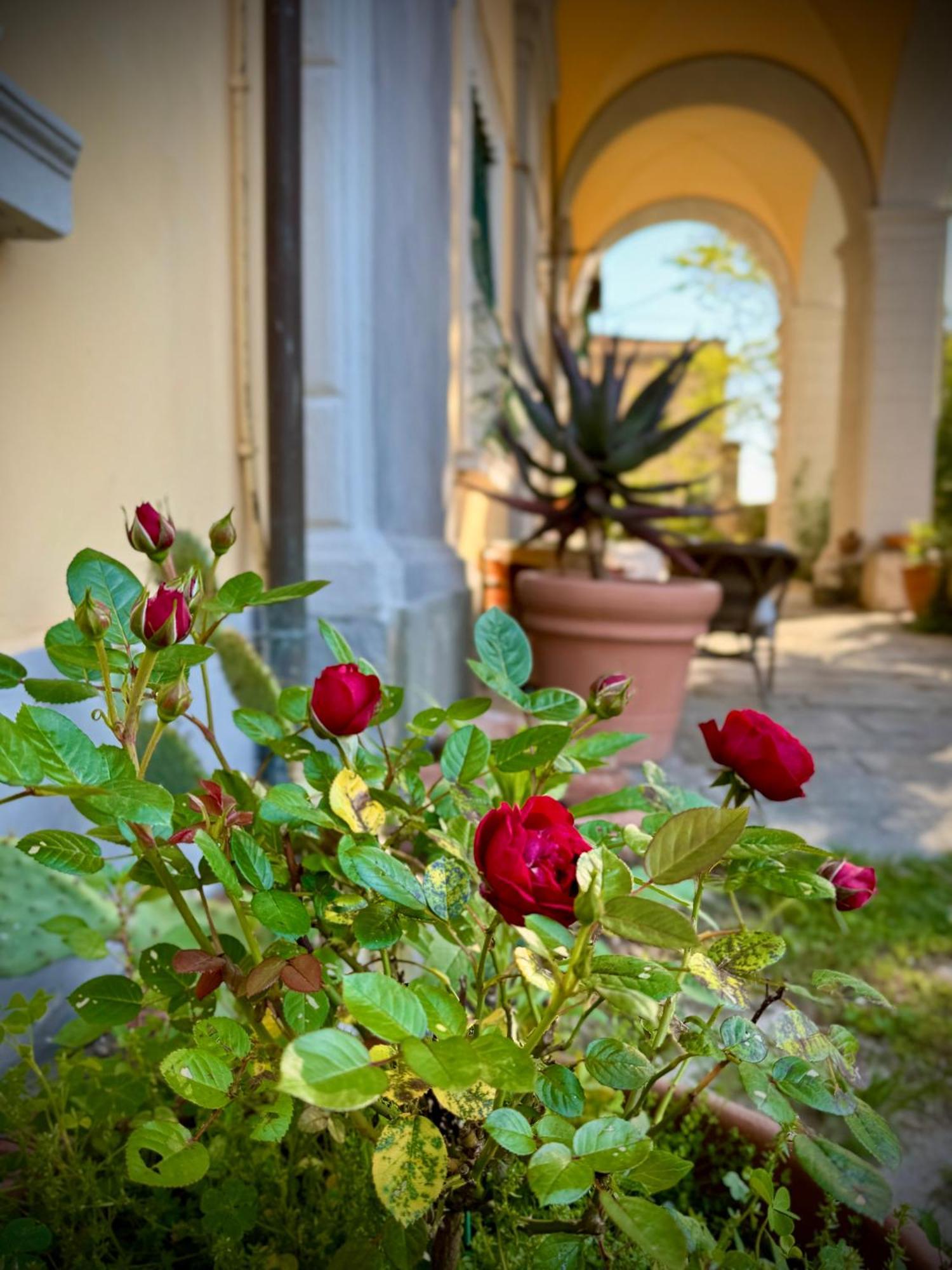Villa La Dogana B&B Di Charme - Historic Villa With A Beautiful Garden Лукка Экстерьер фото